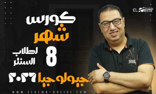 مصغرة الدورة