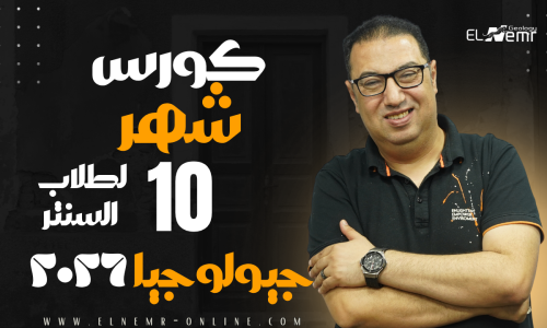 مصغرة الدورة