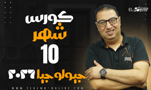 مصغرة الدورة