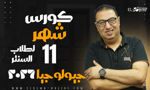 مصغرة الدورة