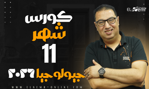 مصغرة الدورة