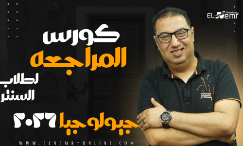 مصغرة الدورة